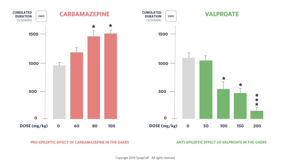 SynapCell-Anti-and-Pro-epileptic-effect-GAERS-synapcell