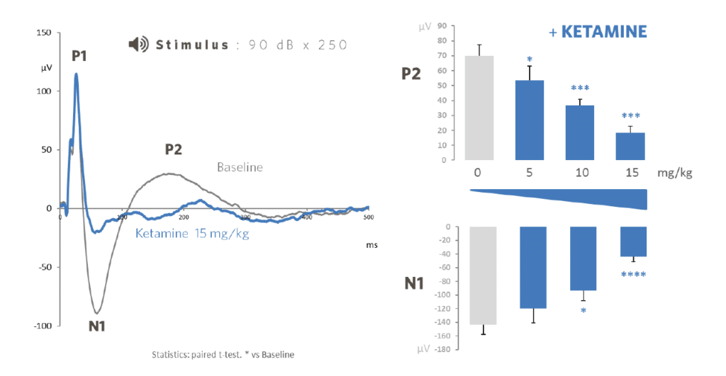 AERP-by-SynapCell-In-vivo-efficacy-Testing-on-CNS-disorders