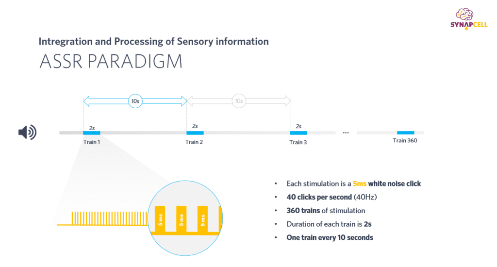 ASSR-Paradigm-SynapCell