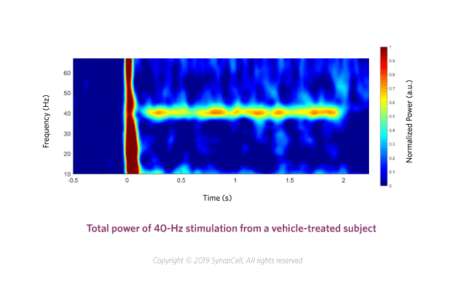 ASSR-vehicle-SynapCell