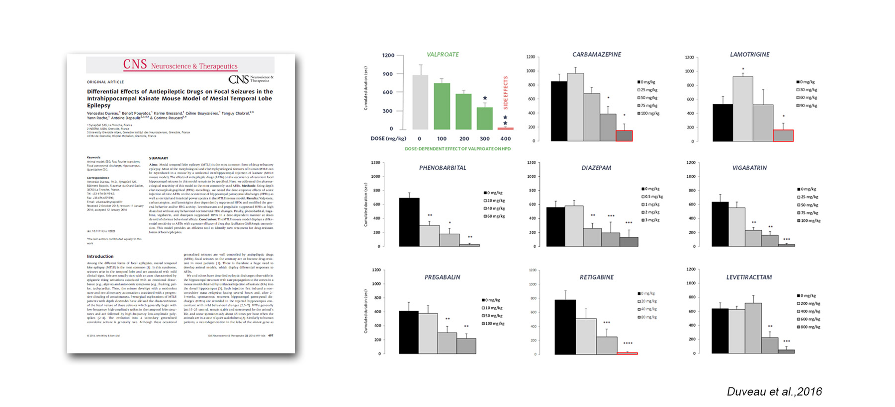 HPD-MTLE-Pharmacology-SynapCell-In-vivo-efficacy-Testing-on-CNS-disorders