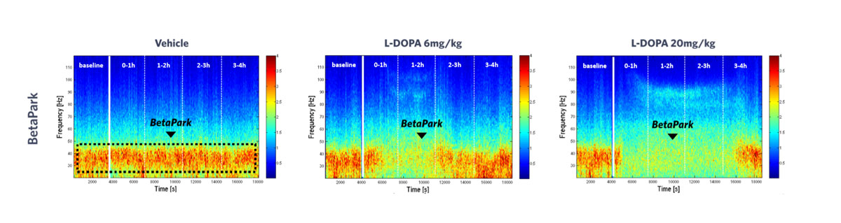 BETAPARK-DOSE-DEPENDENT-LDOPA