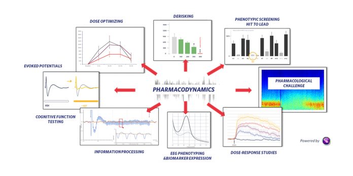 Cue, SynapCell's preclinical, translational in vivo EEG platform for CNS drug efficacy testing.