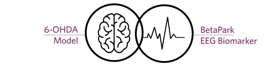 picto_brain_EEG-biomarker_6-OHDA-BETApark