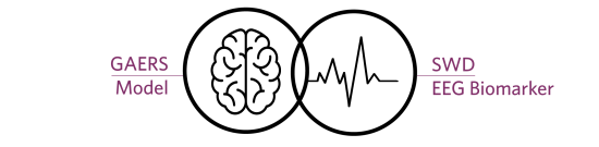 Generalized-seizures-CRO