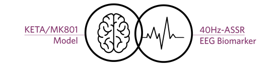 picto_brain_EEG-biomarker_Keta-MK801_40hs-ASSR