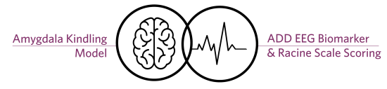 picto_brain_EEG-biomarker_Racine-Score_Kindling-model